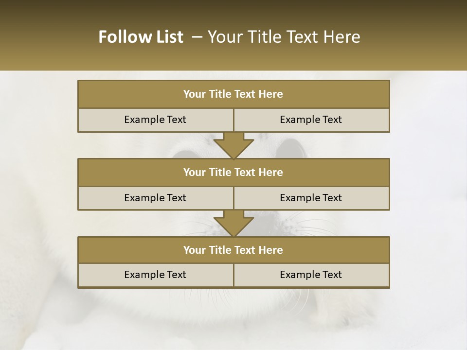 Black Ocean Baby PowerPoint Template