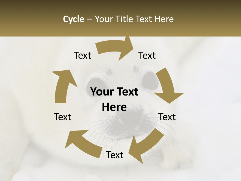 Black Ocean Baby PowerPoint Template