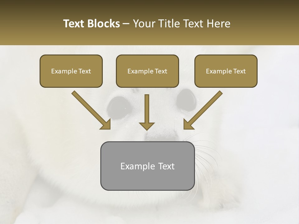 Black Ocean Baby PowerPoint Template