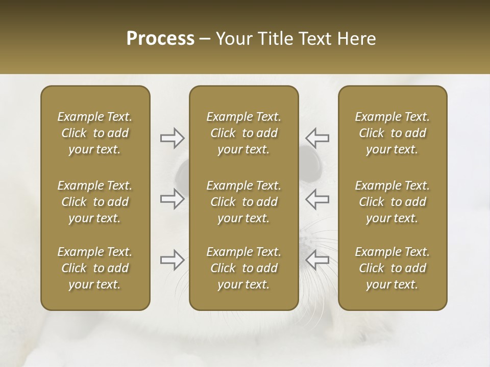 Black Ocean Baby PowerPoint Template