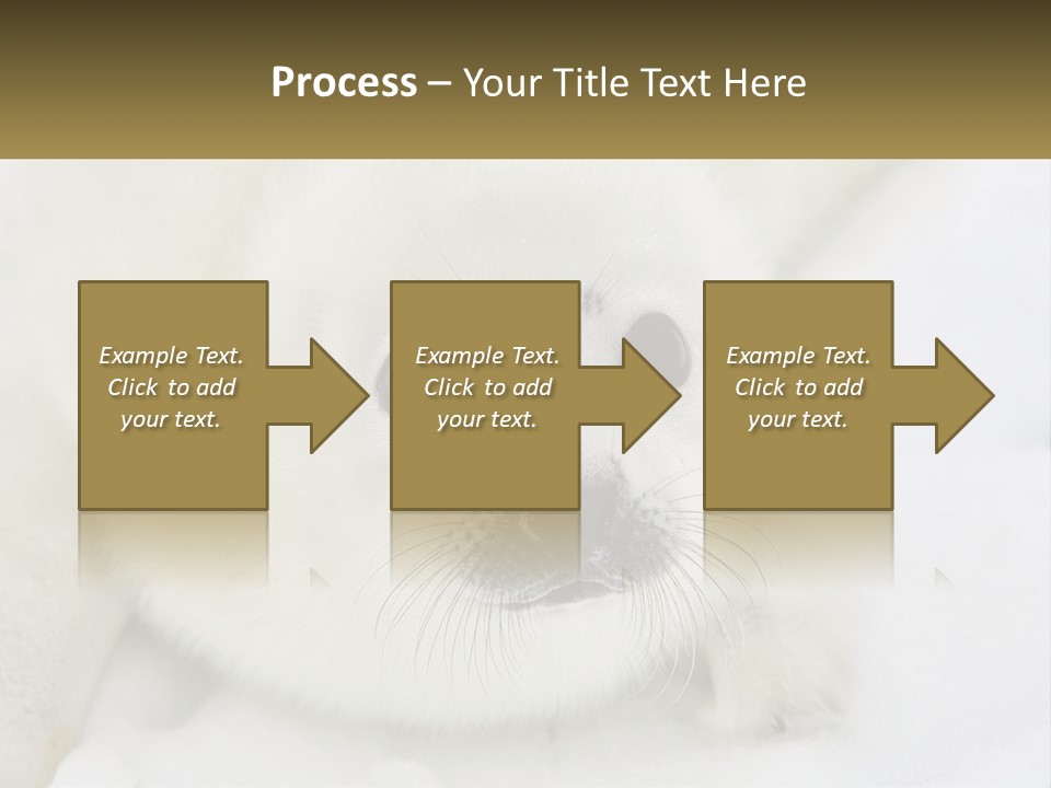 Black Ocean Baby PowerPoint Template