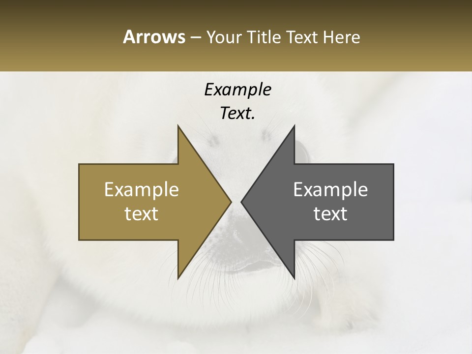 Black Ocean Baby PowerPoint Template