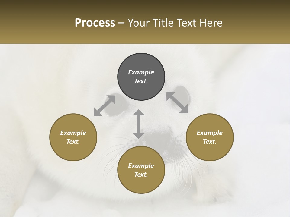 Black Ocean Baby PowerPoint Template