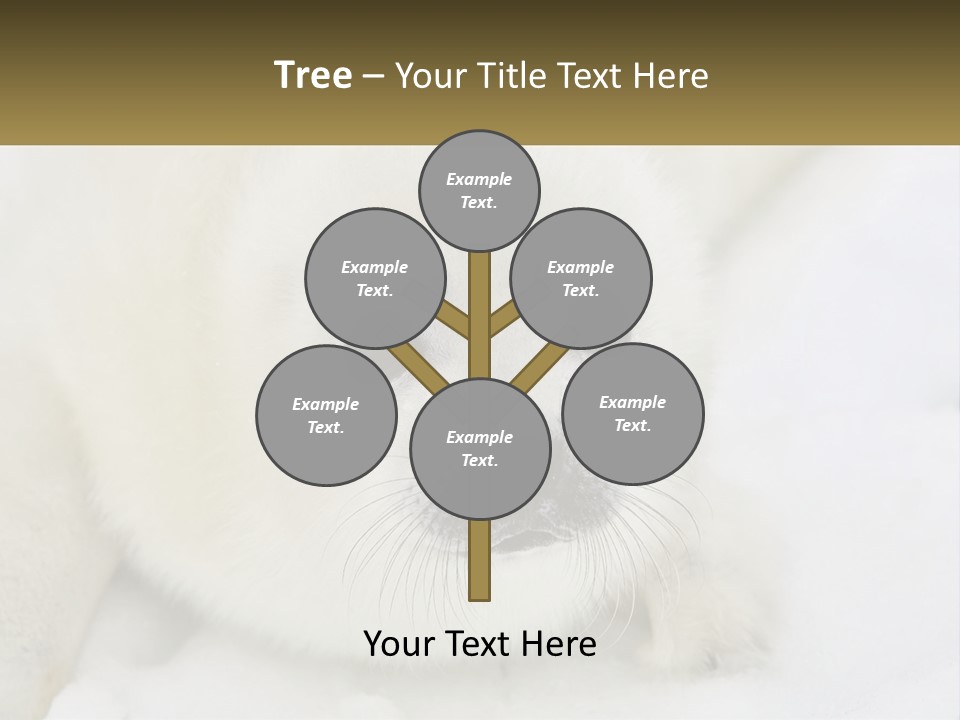 Black Ocean Baby PowerPoint Template