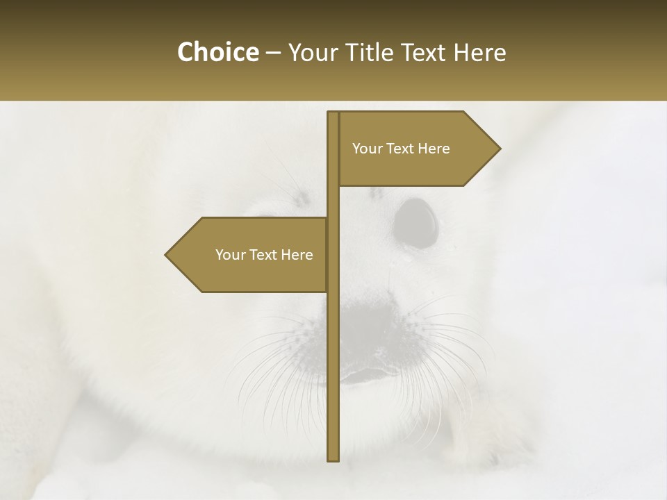 Black Ocean Baby PowerPoint Template