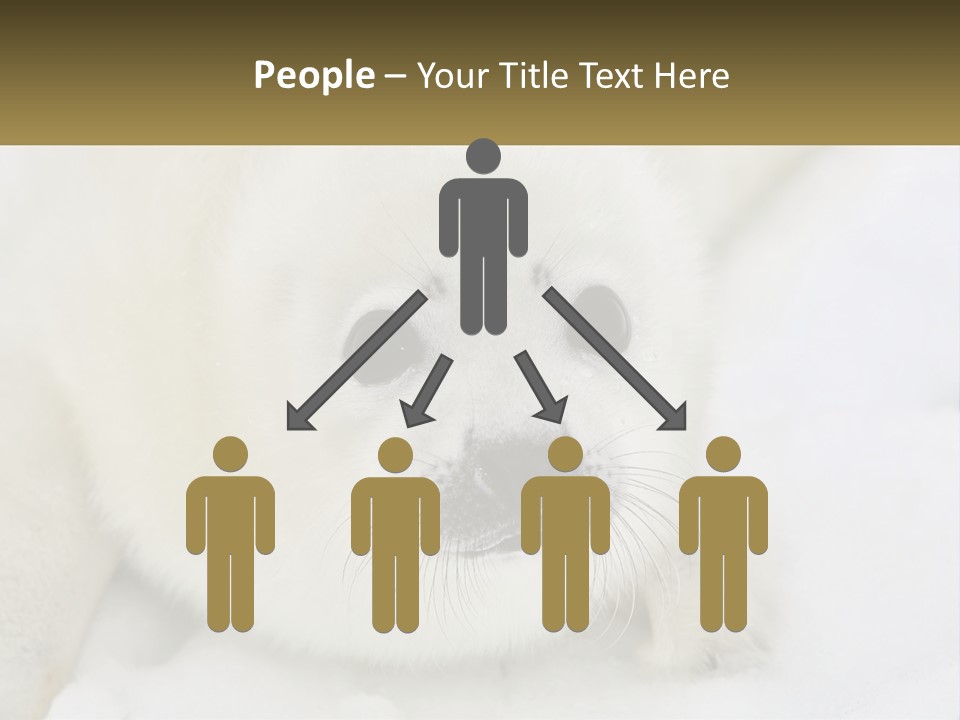 Black Ocean Baby PowerPoint Template