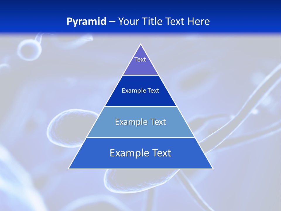 Roof Deck Patio PowerPoint Template