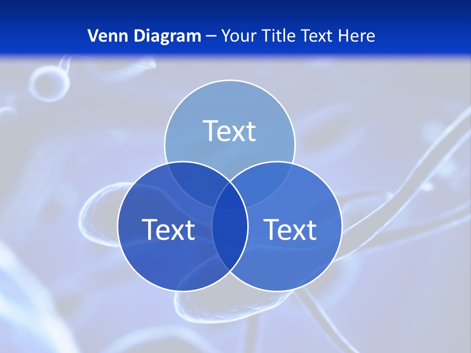 Roof Deck Patio PowerPoint Template