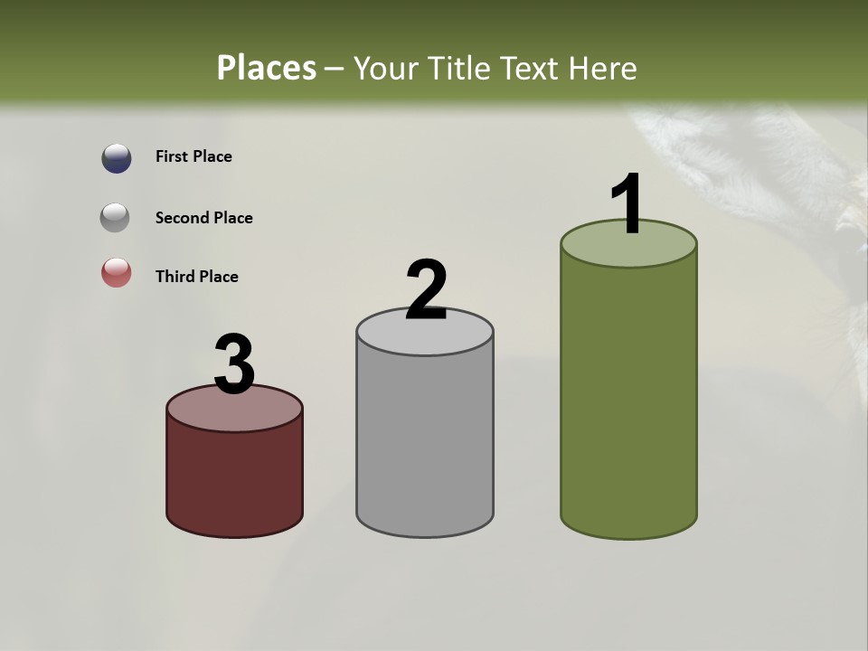 Wild Ringed Close PowerPoint Template