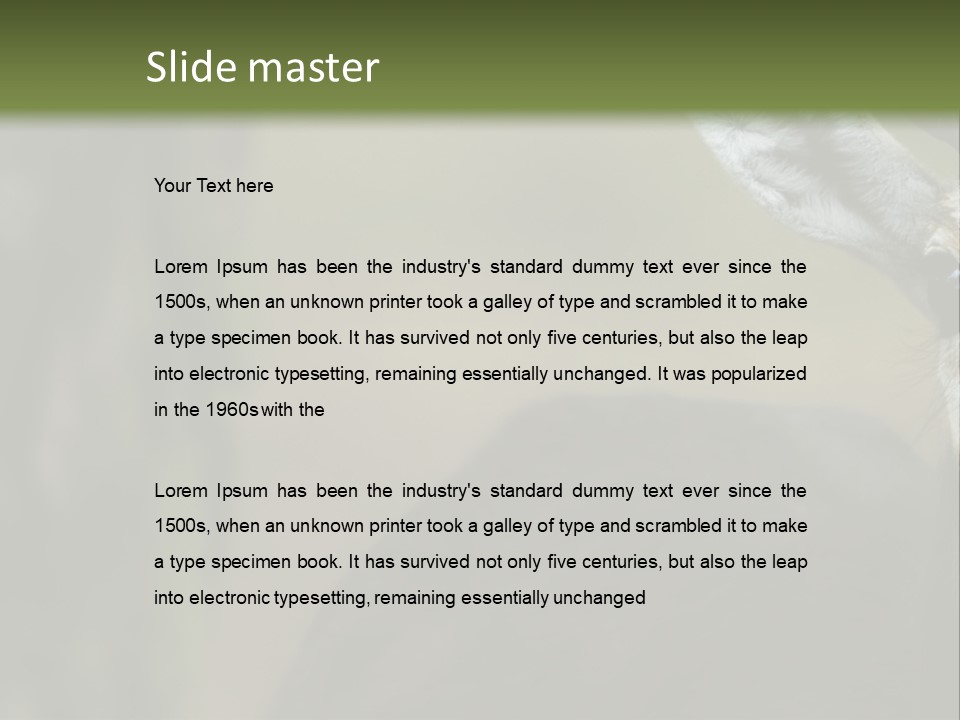 Wild Ringed Close PowerPoint Template