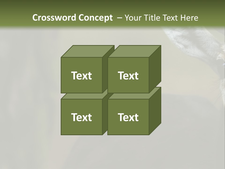 Wild Ringed Close PowerPoint Template
