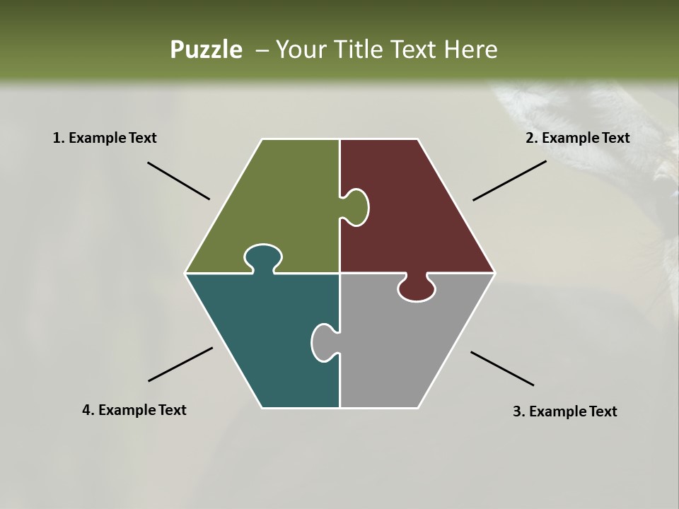 Wild Ringed Close PowerPoint Template