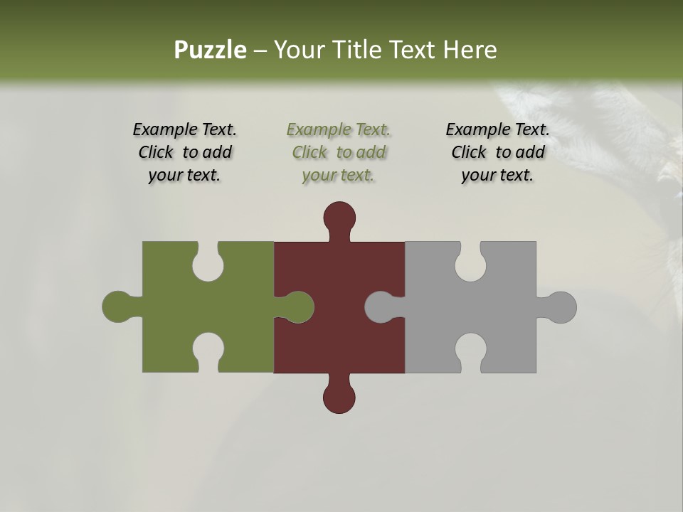 Wild Ringed Close PowerPoint Template