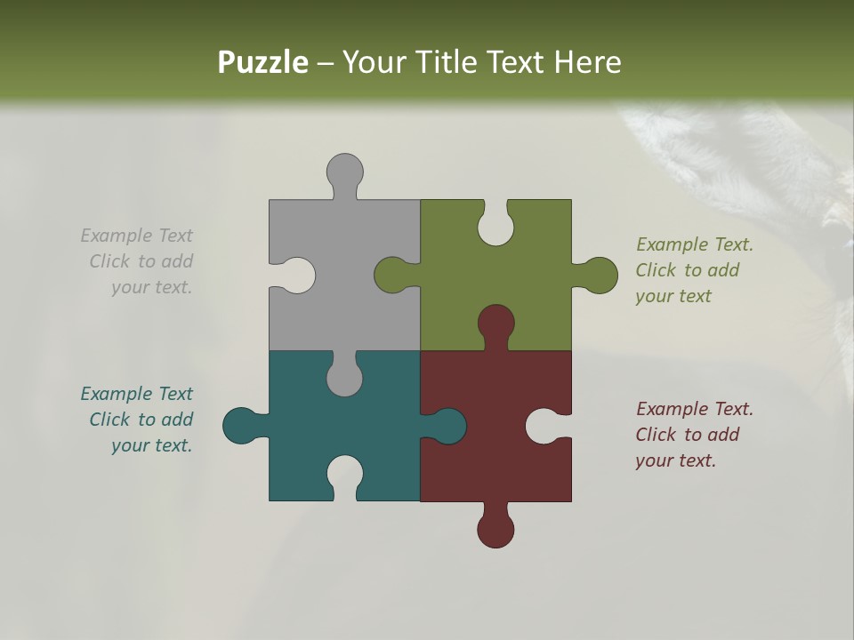 Wild Ringed Close PowerPoint Template