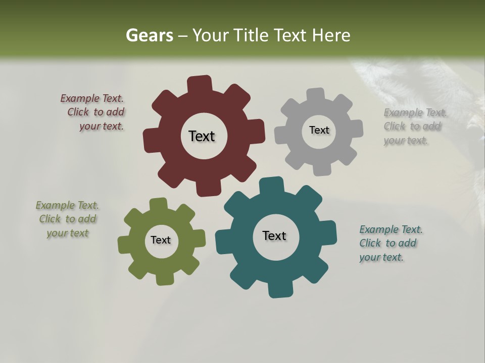 Wild Ringed Close PowerPoint Template