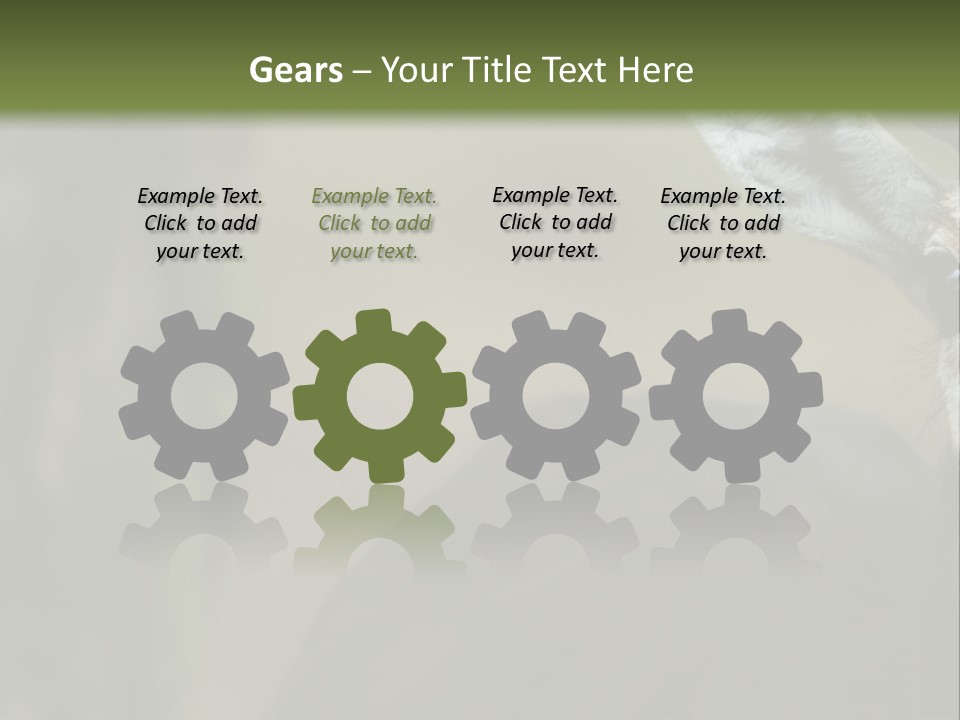 Wild Ringed Close PowerPoint Template