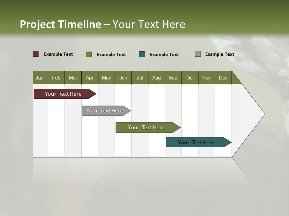Wild Ringed Close PowerPoint Template