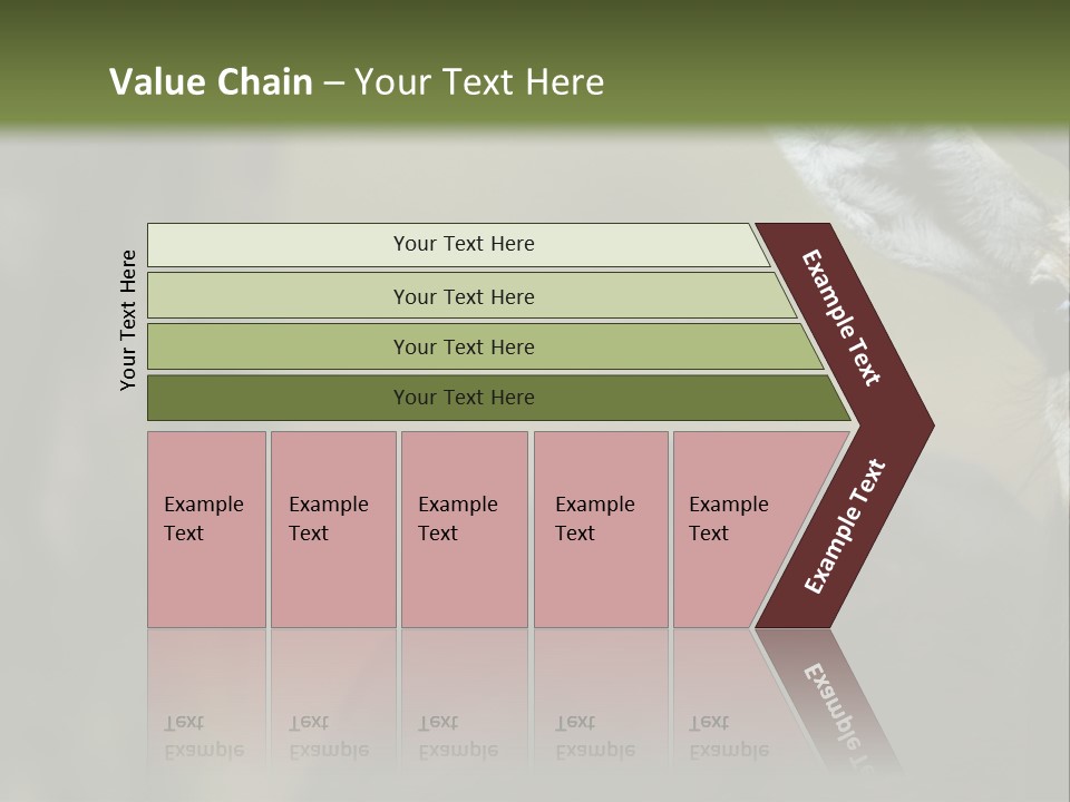 Wild Ringed Close PowerPoint Template