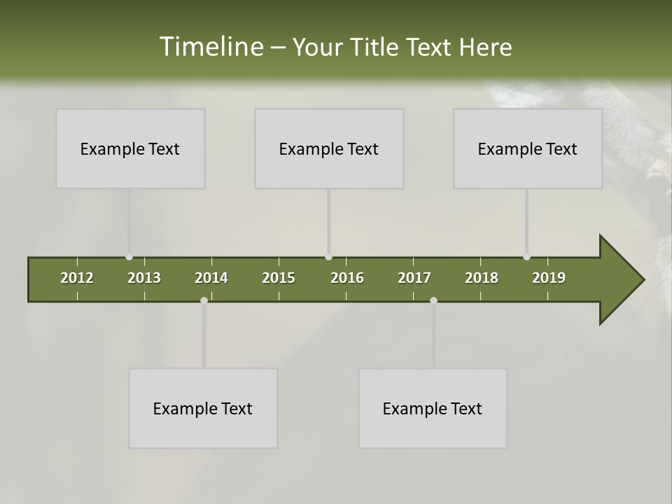 Wild Ringed Close PowerPoint Template