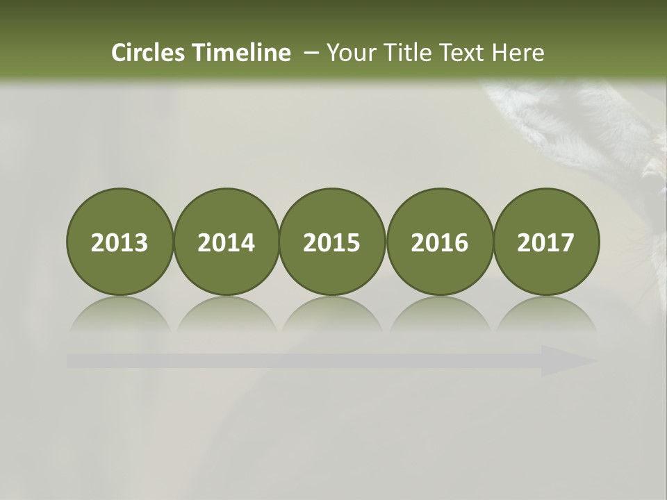 Wild Ringed Close PowerPoint Template