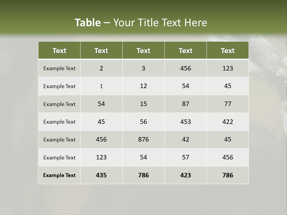 Wild Ringed Close PowerPoint Template
