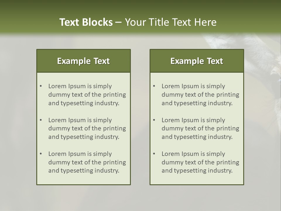 Wild Ringed Close PowerPoint Template