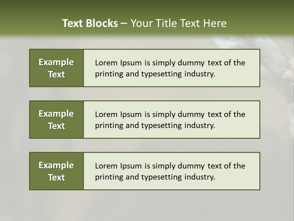 Wild Ringed Close PowerPoint Template