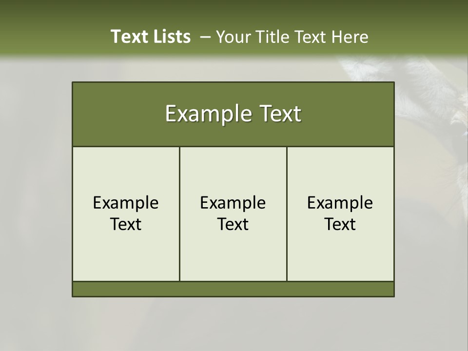 Wild Ringed Close PowerPoint Template