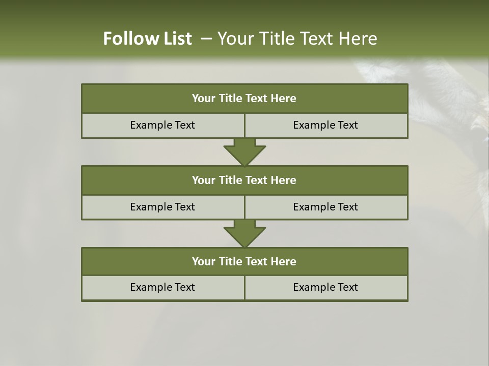 Wild Ringed Close PowerPoint Template