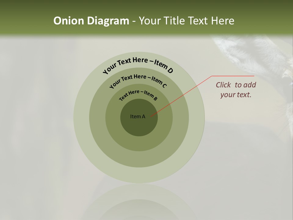 Wild Ringed Close PowerPoint Template