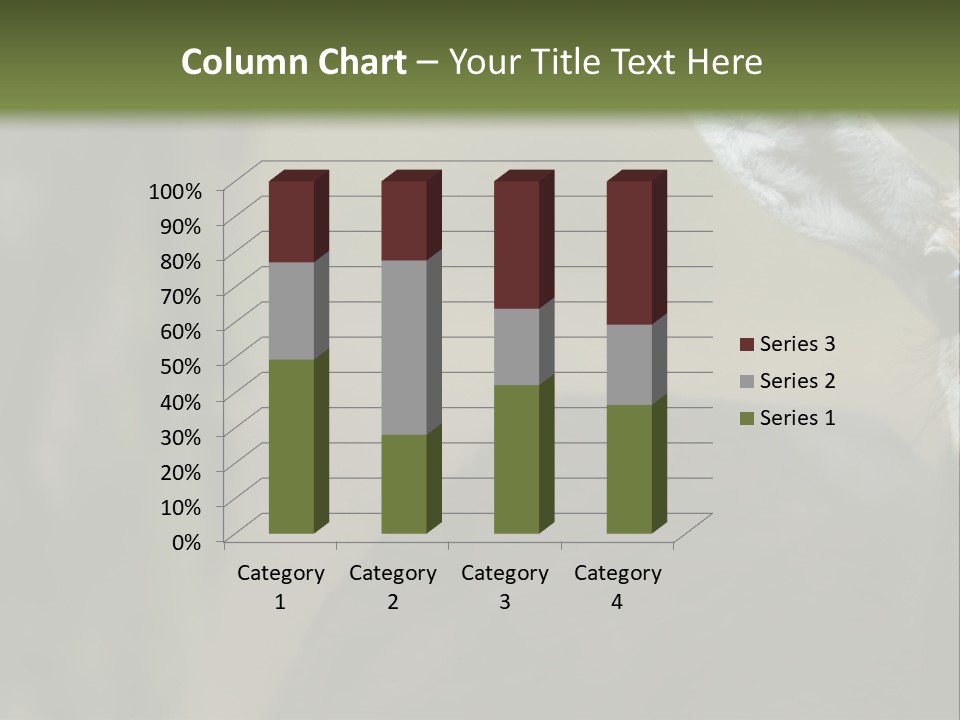 Wild Ringed Close PowerPoint Template