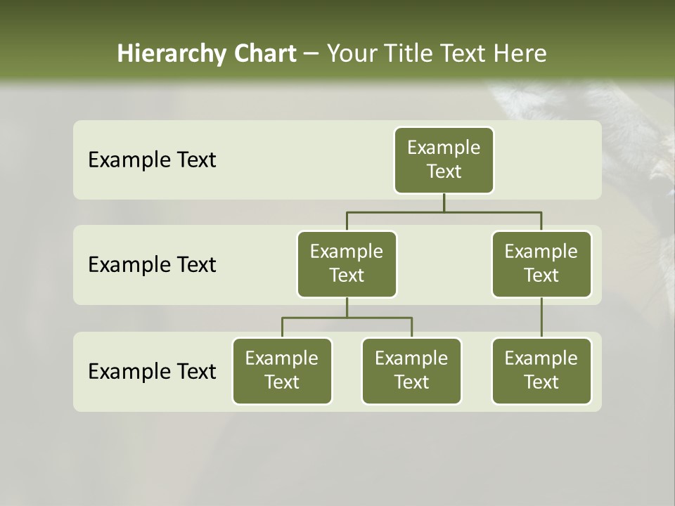 Wild Ringed Close PowerPoint Template