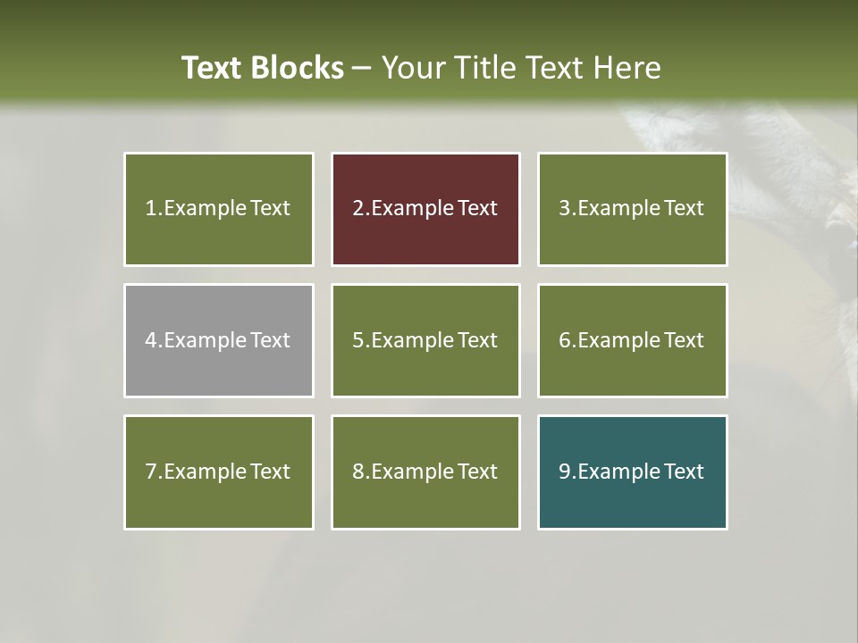 Wild Ringed Close PowerPoint Template
