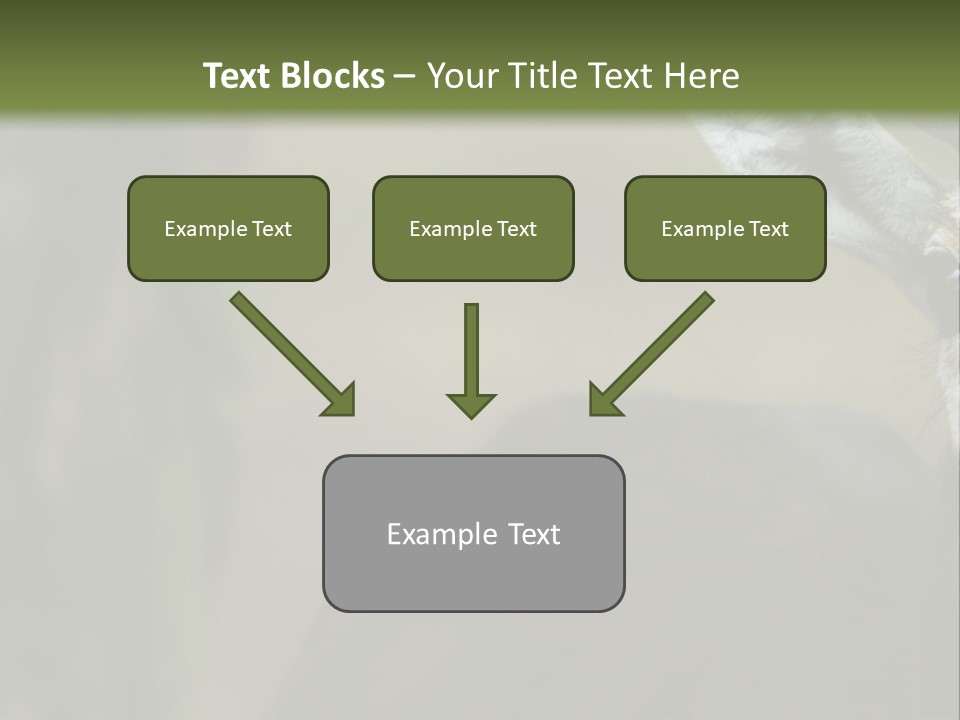 Wild Ringed Close PowerPoint Template