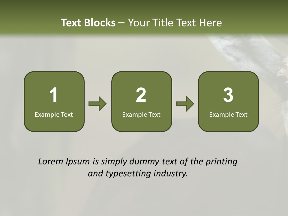 Wild Ringed Close PowerPoint Template