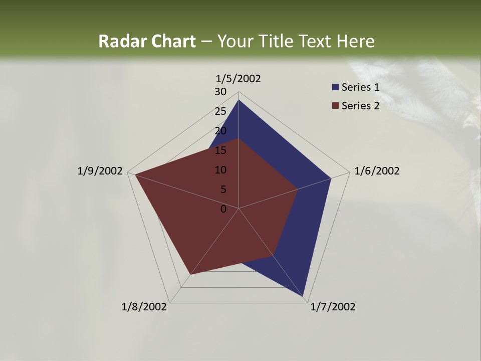 Wild Ringed Close PowerPoint Template