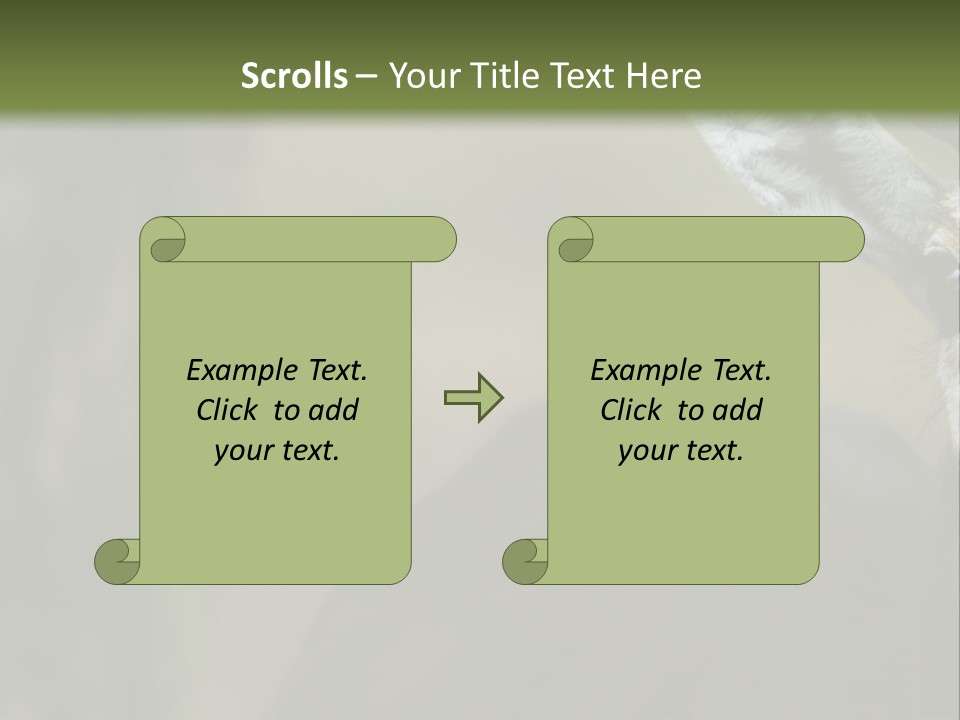 Wild Ringed Close PowerPoint Template