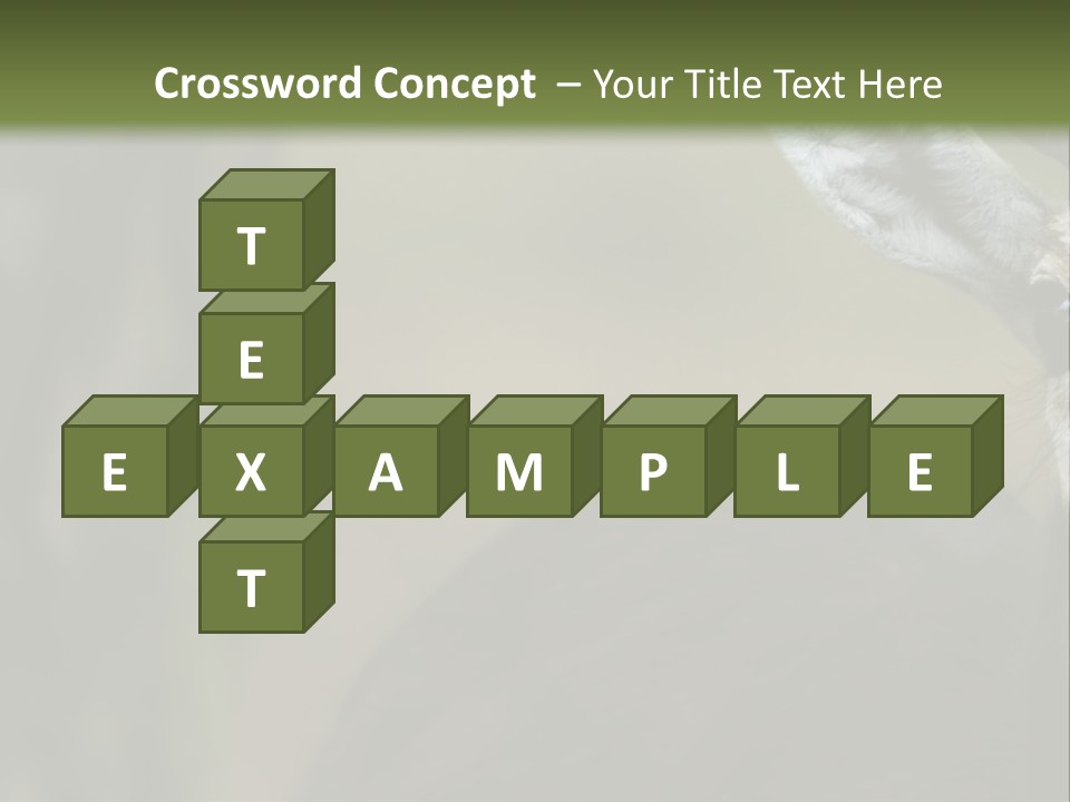 Wild Ringed Close PowerPoint Template