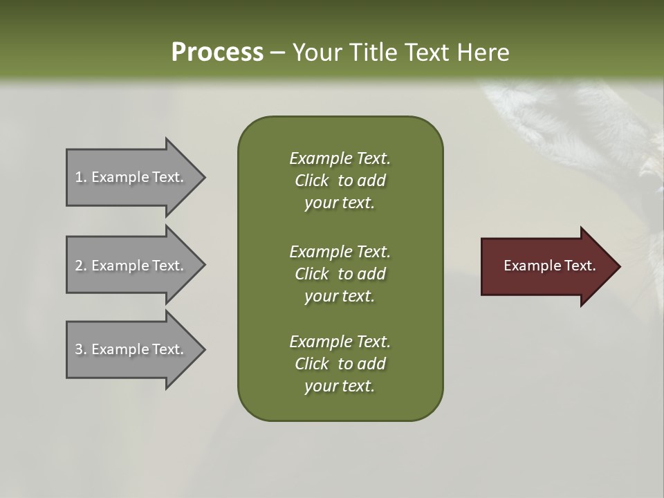 Wild Ringed Close PowerPoint Template