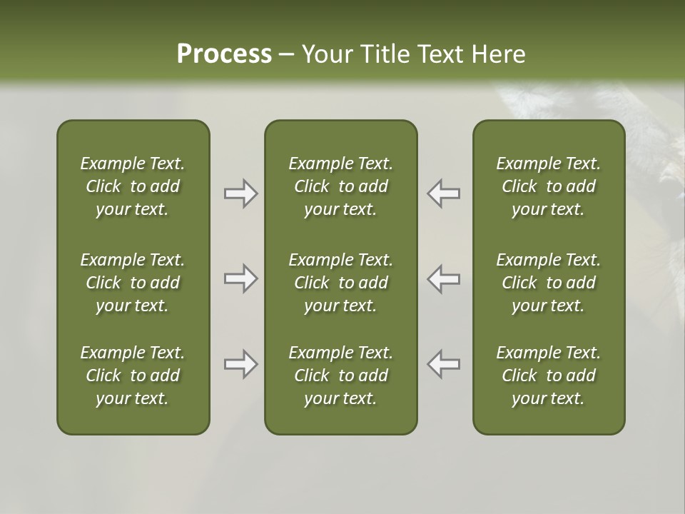 Wild Ringed Close PowerPoint Template