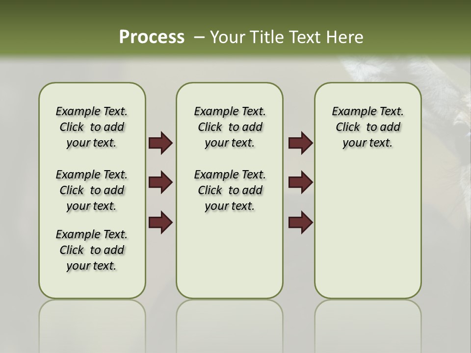 Wild Ringed Close PowerPoint Template