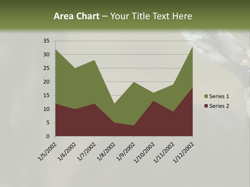 Wild Ringed Close PowerPoint Template