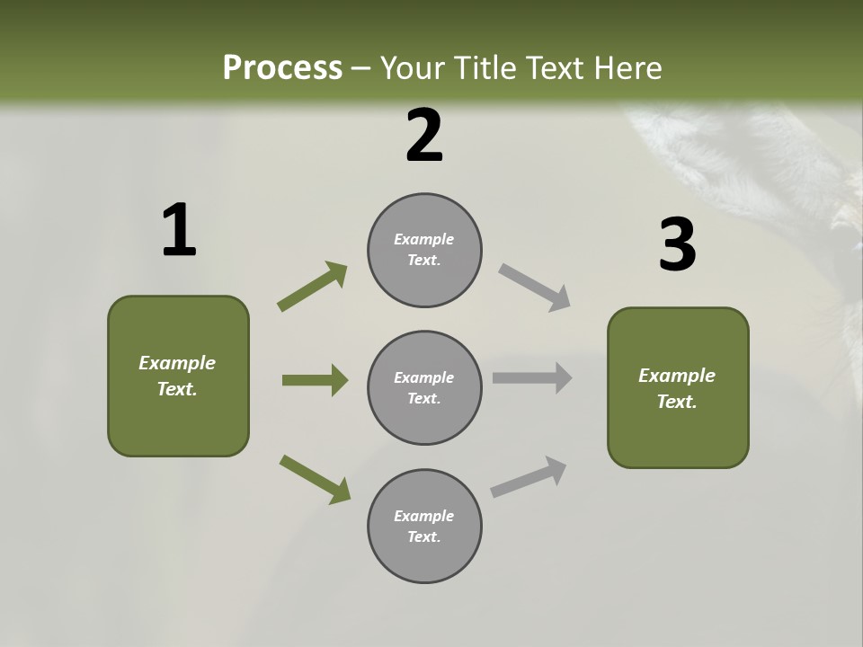 Wild Ringed Close PowerPoint Template