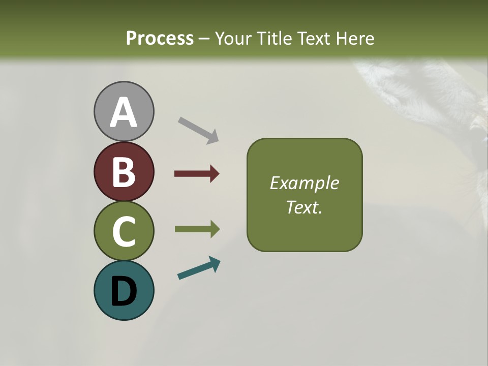 Wild Ringed Close PowerPoint Template