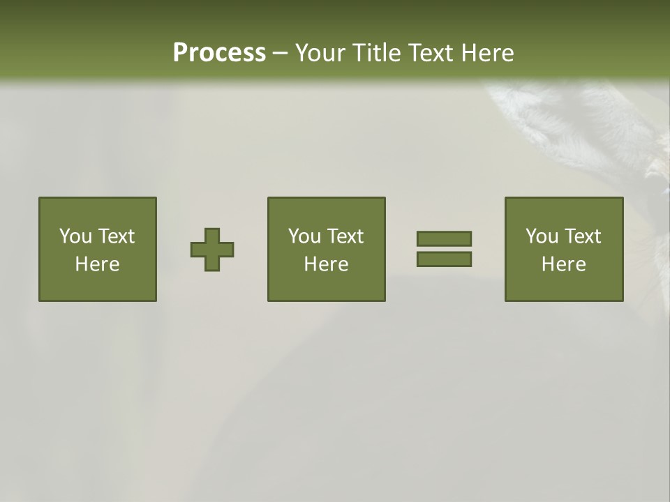 Wild Ringed Close PowerPoint Template