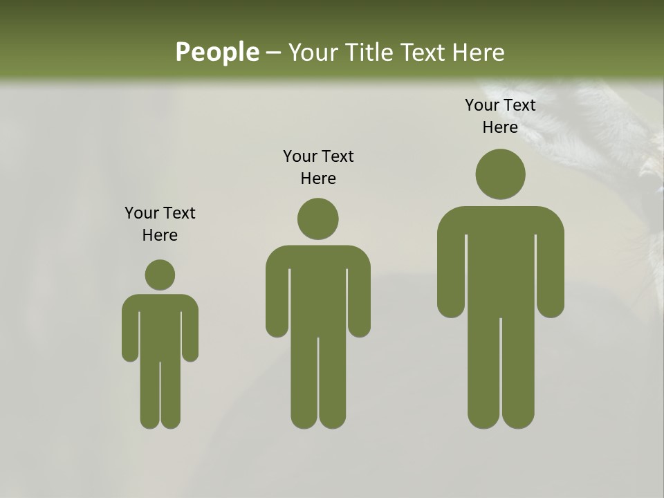 Wild Ringed Close PowerPoint Template