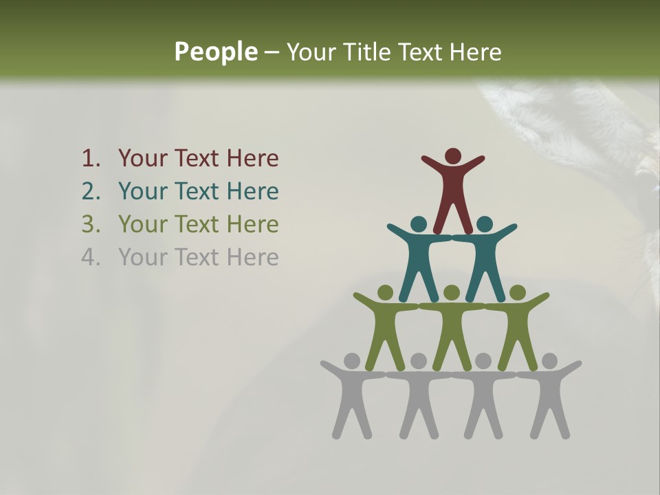 Wild Ringed Close PowerPoint Template