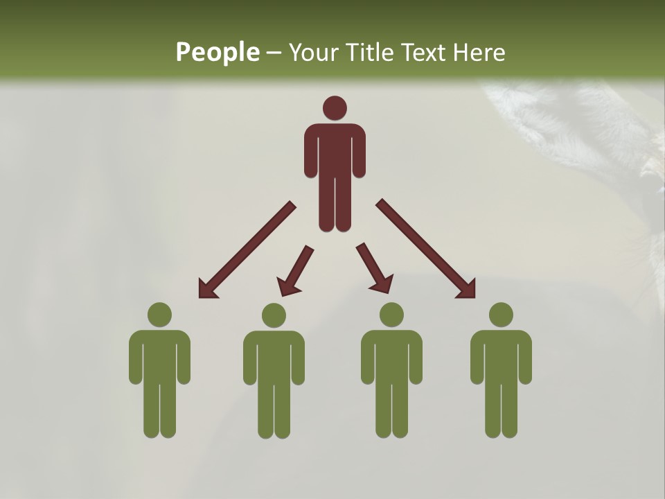 Wild Ringed Close PowerPoint Template