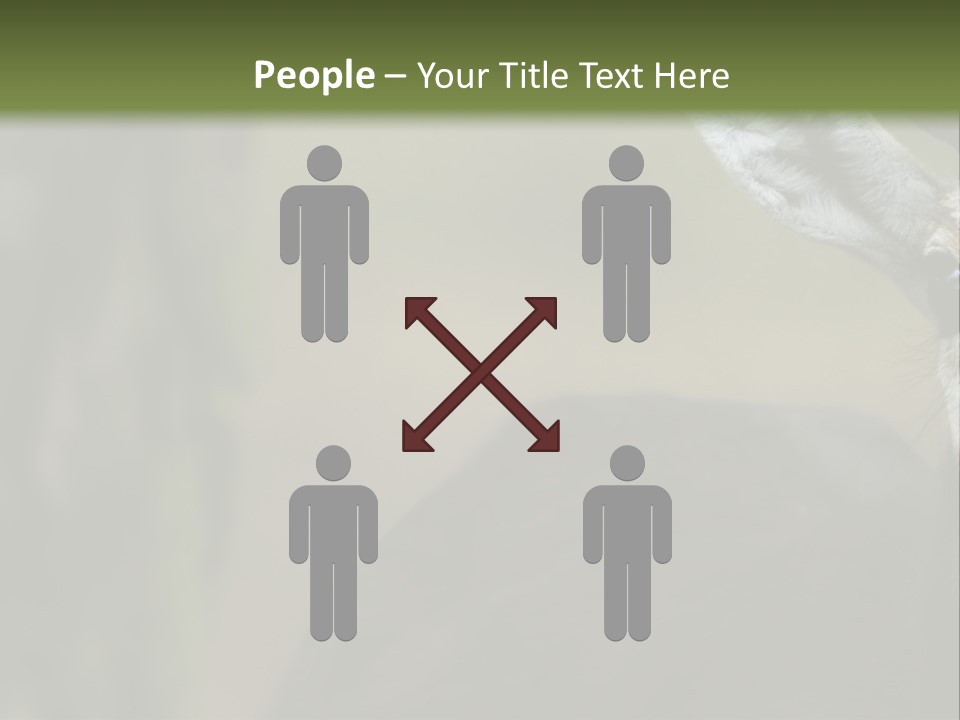 Wild Ringed Close PowerPoint Template