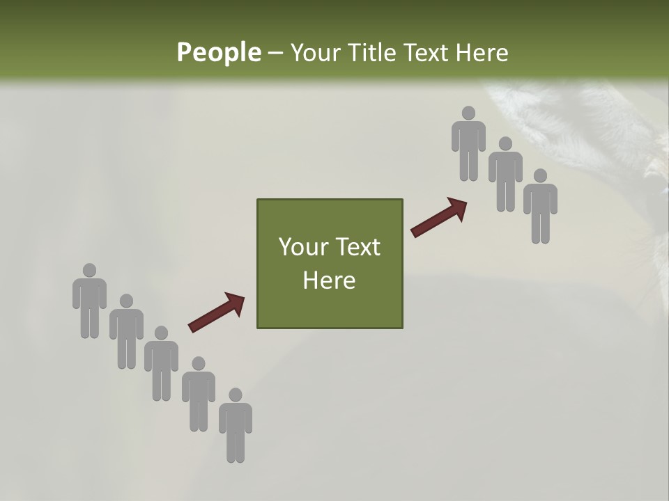 Wild Ringed Close PowerPoint Template